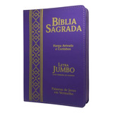 Bíblia Jumbo Letra Extra Gigante E