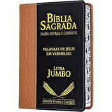 Bíblia Jumbo Letra Extra Gigante Harpa Luxo Duotone Feminina