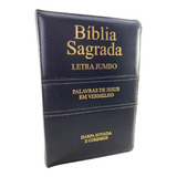 Bíblia Letra Extra Gigante Almeida Rc