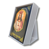 Bíblia Sagrada Católica Com Imagens Edição Luxo De Traduzida Por Pe Antônio Pereira De Figueiredo Vol 1 Editora Dcl Pae Capa Dura Em Português 2023 Com Índice
