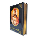 Biblia Sagrada Católica Ilustrada Grande Edição