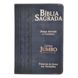 Bíblia Sagrada Evangelica Letra
