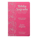 Bíblia Sagrada Harpa E Corinhos Arc Letra Gigante Capa Semiflexível Flores Pink De Vários Autores Editora Cpp Capa Mole Em Português 2023