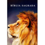Bíblia Sagrada Jovem Leão Color Nvi