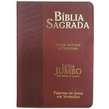 Bíblia Sagrada Letra Jumbo C harpa