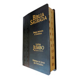 Bíblia Sagrada Letra Jumbo Capa Pu