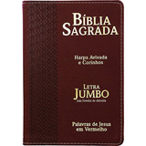 Bíblia Sagrada Letra Jumbo Capa Pu