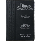 Bíblia Sagrada Letra Jumbo