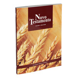 Bíblia Sagrada Novo Testamento Letra Grande Va Tradução Na Linguagem De Hoje ntlh De Sociedade Bíblica Do Brasil Editorial Sociedade Bíblica Do Brasil Tapa Mole En Português 2017