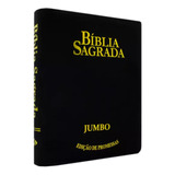 Bíblia Sagrada Rc Letra Jumbo Edição