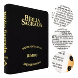 Bíblia Sagrada Rc Letra Jumbo Promessas