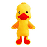 Patinho