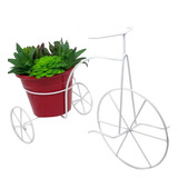 Bicicleta De Jardim Com Vaso Decoração