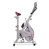 Bicicleta Ergométrica Cicloarte Sports Pro Para Spinning Cor Branco