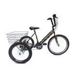 Bicicleta Triciclo Aro 24