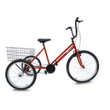 Bicicleta Triciclo Aro 24 Super Luxo 6 Opções De Cores 