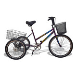 Bicicleta Triciclo Deluxe Wendy Aro 26