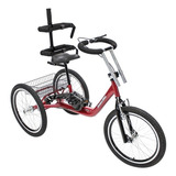 Bicicleta Triciclo Infantil Especial Adaptado Aro 20