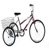 Bicicleta Triciclo Luxo Aro 26 Completo Violeta