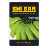 Big