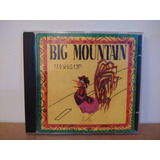 Big Mountain wake Up cd