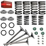 BIGLKNM Kit De Válvula De Admissão E Escape Do Motor E Molas Resistentes Com Vedação Compatível Com Sportrax 400 TRX400EX TRX400X 2x4 Dirt Bike XR400R 1999 2008