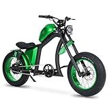 BIGNIU Bicicleta Elétrica Para Adultos- Motor Sem Escova De 800 W- 48 V - 22-5 Ah- Bicicleta Elétrica De Até 32 Milhas- Bicicleta Elétrica Com Suspensão Dupla -verde Oliva-