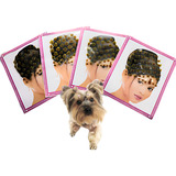 Bind Piercing Adesivos P caes E Gatos Banho E Tosa 72 Cartel