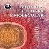 Molecular