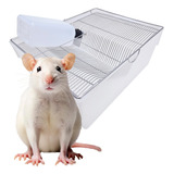 Biotério Ratos Camundongos Mercol Hamster Médio N 03