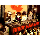 Birdy Nam Nam Cd House Birdnamnam