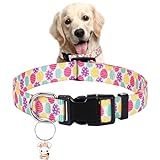 Blahhey Coleira De Páscoa Para Cães Pequenos Médios E Grandes Coleira Ajustável E Confortável Com Fivela De Plástico Presente De Páscoa Para Seus Cães Gatos Animais De Estimação Ovo De Páscoa Pingente De Coelho