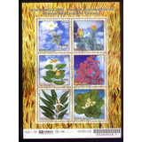 Bloco B 131 Flores E Plantas Medicinais Do Cerrado 2003