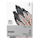 Bloco De Papel Desenho Winsor Newton Bristol 250g 20fl A4