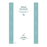 Bloco Desenho Bristol Lana A3 250g Hahnemuhle