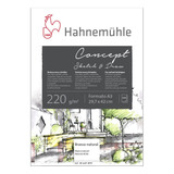 Bloco Hahnemuhle Concept Sketch Draw A3 220g m2 100 Folhas