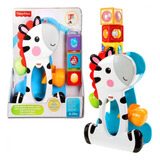 Blocos De Atividade Zebra Blocos Surpresa Fisher Price Cgn63