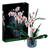 Orquídea