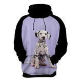 Blusa Moletom Dálmata Cachorro Filhote Cães 4