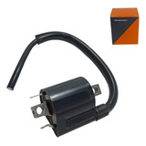 Bobina De Ignição Gt 250 Comet Mirage250 2011 A 2013 curta 