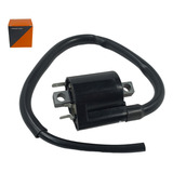 Bobina De Ignição Gt 250 Comet Mirage250 2011 A 2013 longa 