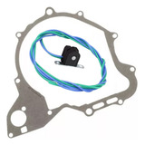 Bobina De Pulso Drag Star 650 Xvs 97 04 Junta Estator