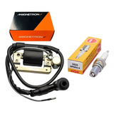 Bobina Ignição Titan 125 79 Á 91 Magnetron vela Cachimbo Ngk