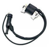 Bobina Modulo De Ignição Motor Gasolina 8hp 9hp 13hp 15hp
