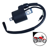 Bobina Vela Honda Cbx 250 Twister 2001 2002 2003 2004