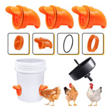 Bocal Para Comedouro Galinhas Aves Serra Copo Cor Laranja