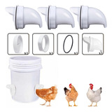 Bocal Para Comedouro Tratador Galinhas Aves Ração 1 Peça Cor Branco