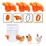 Bocal Para Comedouro Tratador Galinhas Aves Ração 2 Peças Cor Laranja