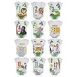 Body De Bebê Mesversario Safari Animais Selva Kit 12 Bodies 1 A 12 Meses