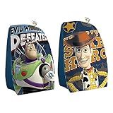 BOIA INFLÁVEL DE BRAÇO INFANTIL TOY STORY DISNEY 30X15